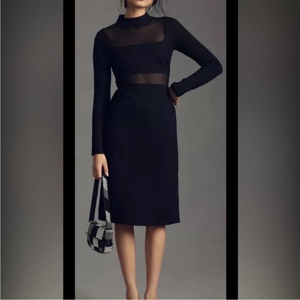 Anthropologie Elegant Black Sheer Long Sleeve Dress